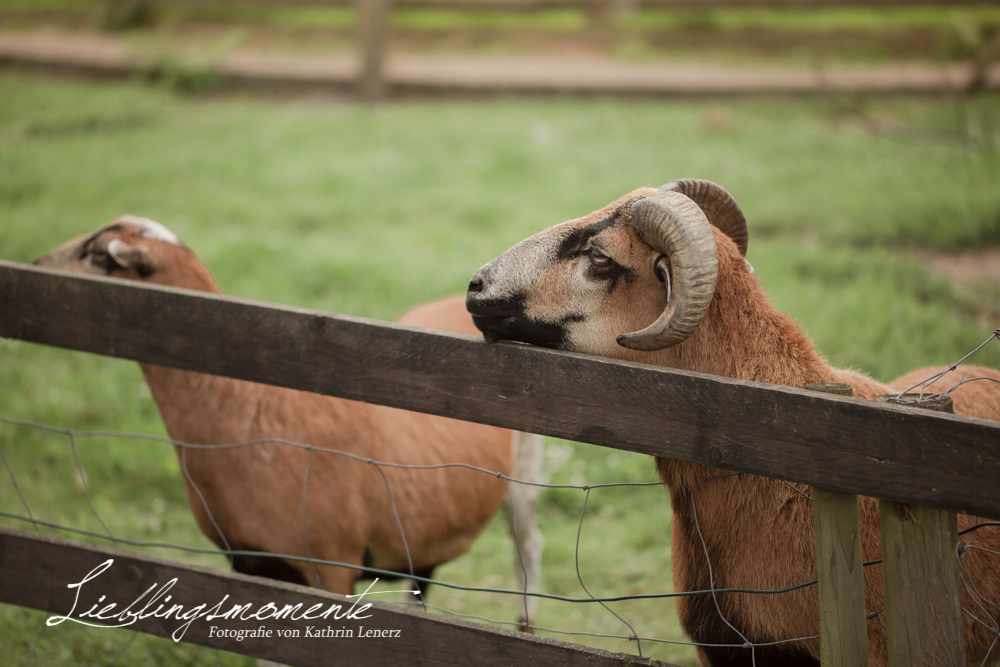 hochzeitsfotograf_ratingen135