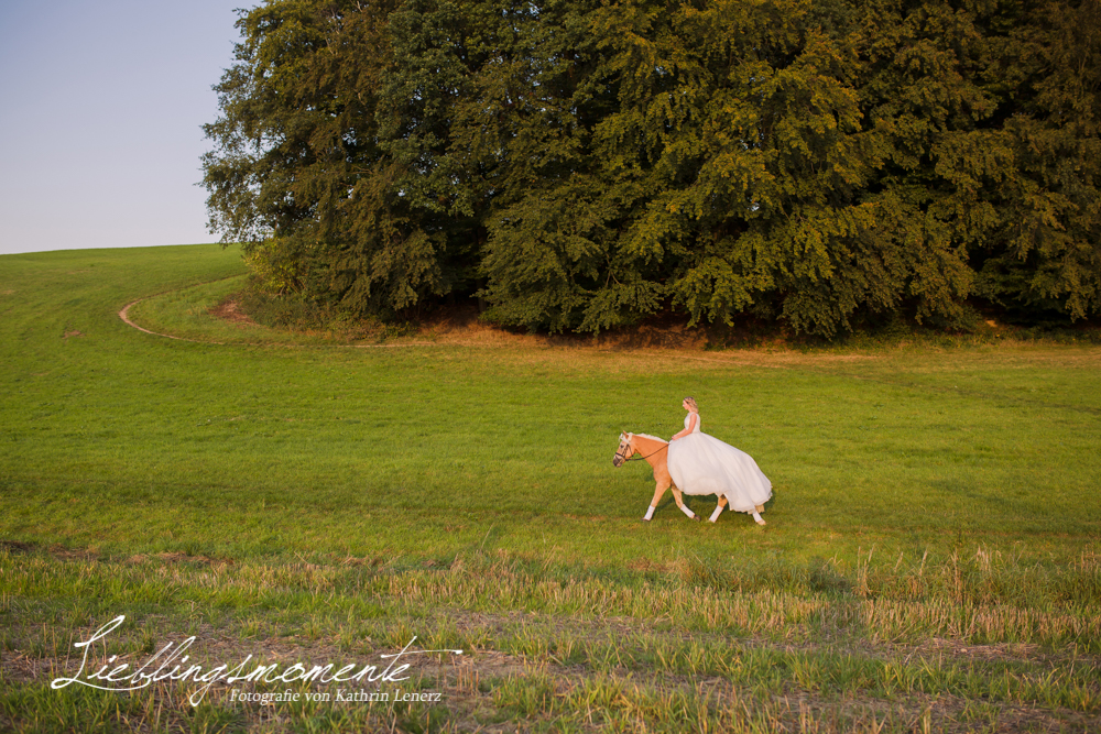 Hochzeit_pferd_ratingen_duesseldorf_fotograf (13)