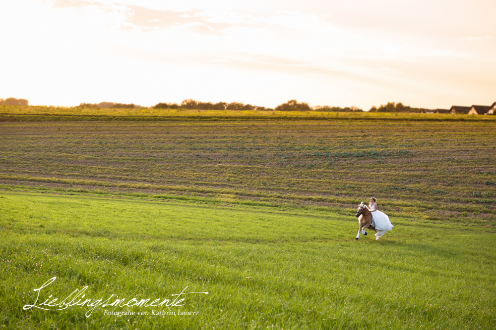 Hochzeit_pferd_ratingen_duesseldorf_fotograf (15)