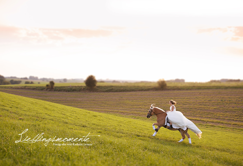 Hochzeit_pferd_ratingen_duesseldorf_fotograf (16)